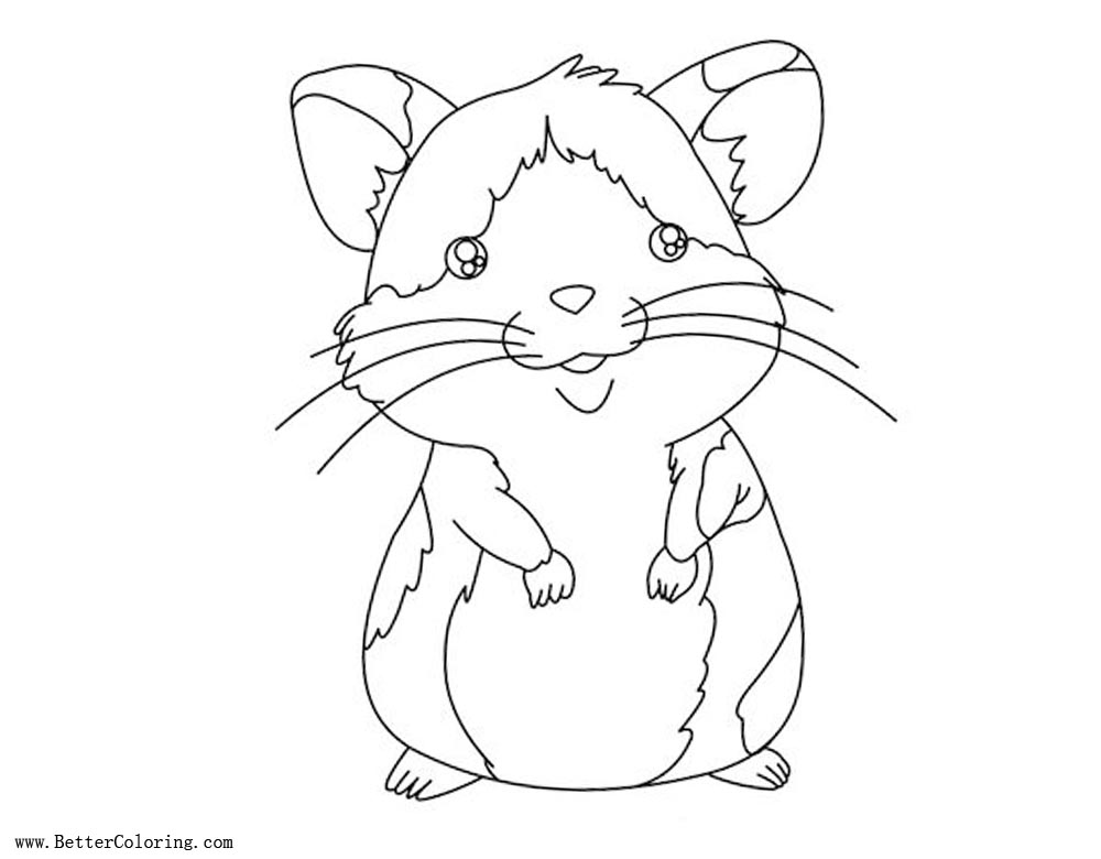 Baby Hamster Coloring Pages - Free Printable Coloring Pages