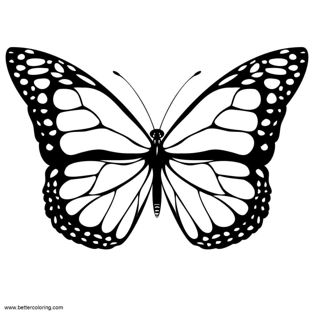 Butterflies Coloring Pages Line Drawings Free Printable Coloring Pages