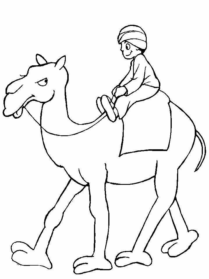 Free Camel Coloring Pages A Man Ride On A Camel printable