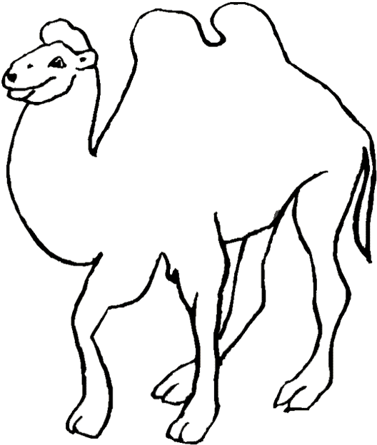 Free Camel Coloring Pages Outlined printable