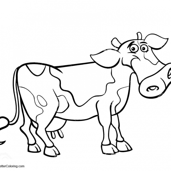 Cows Coloring Pages - Free Printable Coloring Pages