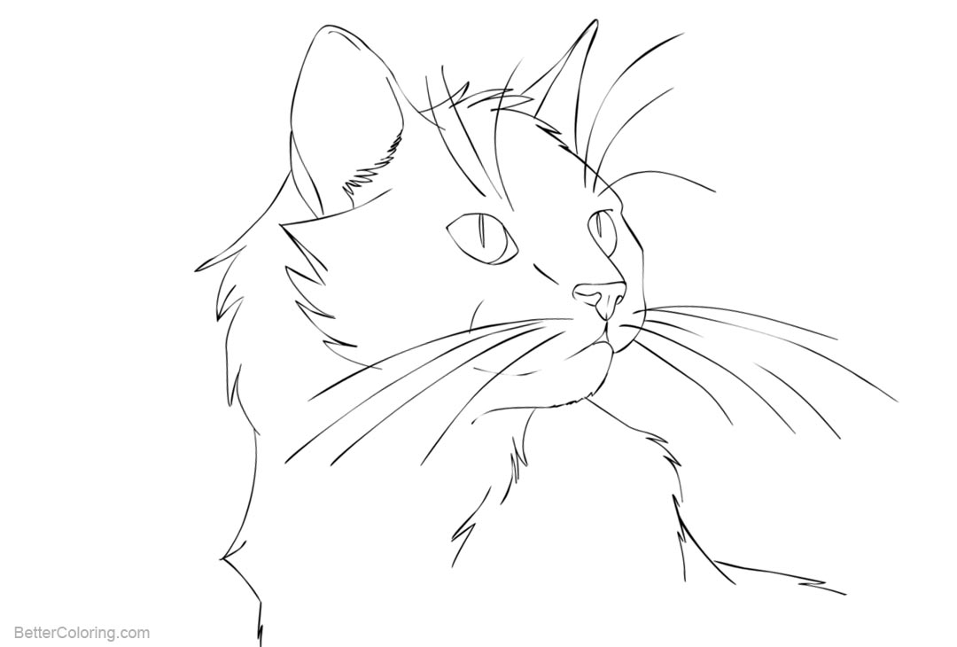 Cat Coloring Pages Head - Free Printable Coloring Pages