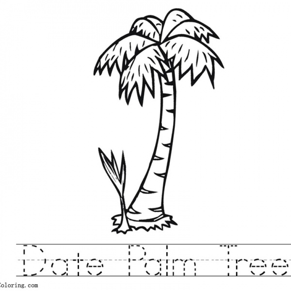 Palm Tree Coloring Pages with Sunset - Free Printable Coloring Pages
