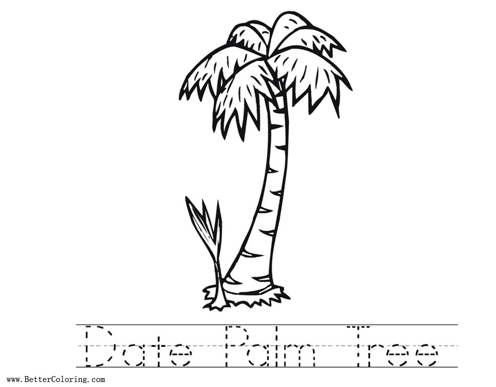 Free Date Palm Tree Coloring Pages Worksheets printable