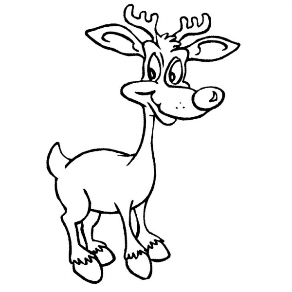Realistic Reindeer Coloring Pages - Free Printable Coloring Pages
