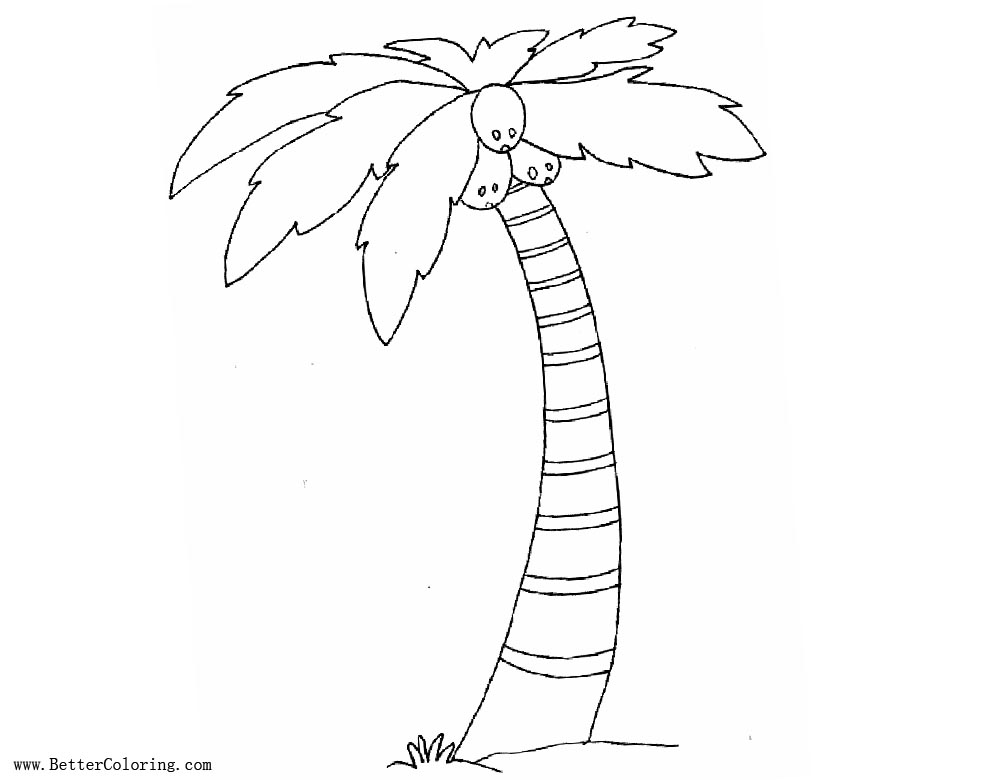 Free Funny Palm Tree Coloring Pages printable