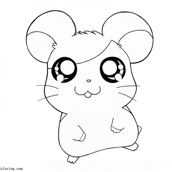 Hamster Coloring Pages Realistic Drawing - Free Printable Coloring Pages