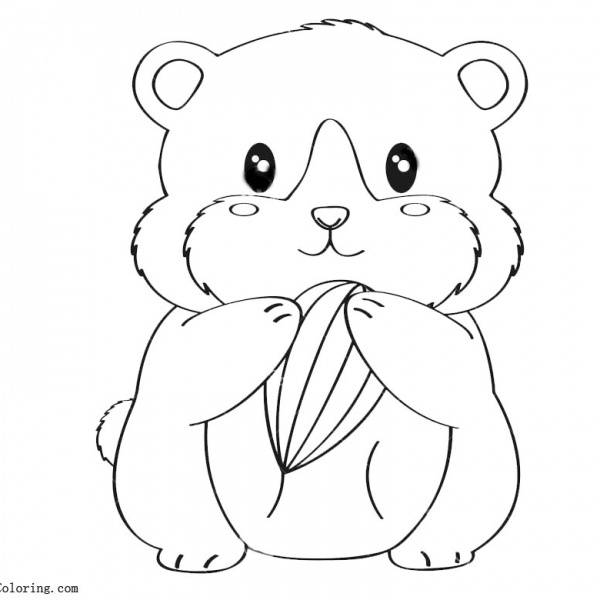 Baby Hamster Coloring Pages - Free Printable Coloring Pages
