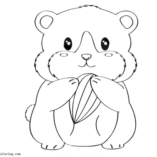 Baby Hamster Coloring Pages Free Printable Coloring Pages