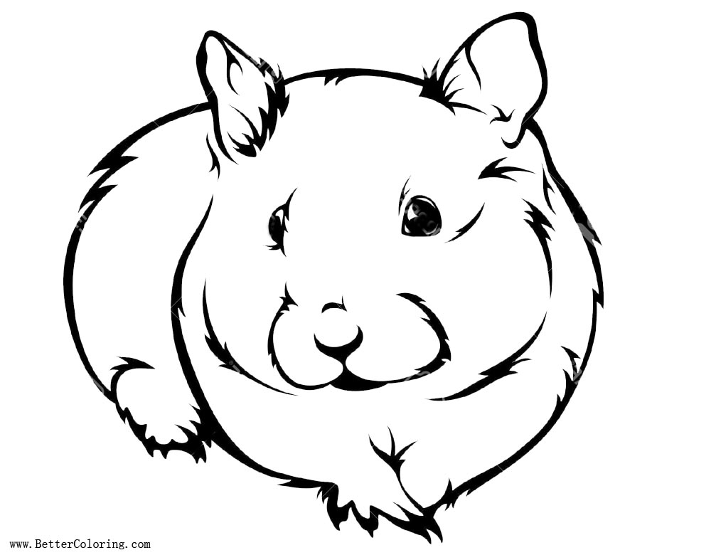 Hamster Coloring Pages Realistic Drawing - Free Printable Coloring Pages