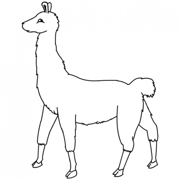 Llama Coloring Pages Badge No Prob Free Printable Coloring Pages