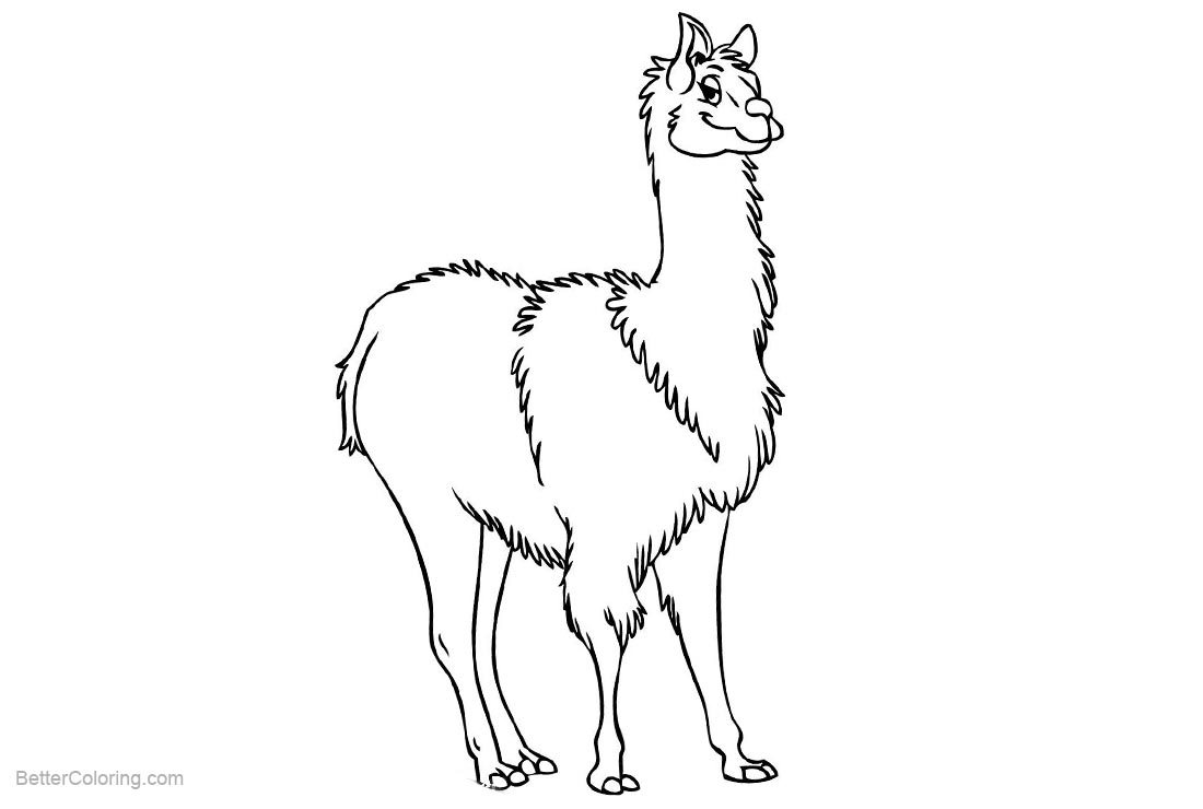 Free Llama Coloring Pages Proudly printable