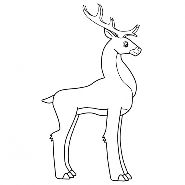 Realistic Reindeer Coloring Pages - Free Printable Coloring Pages