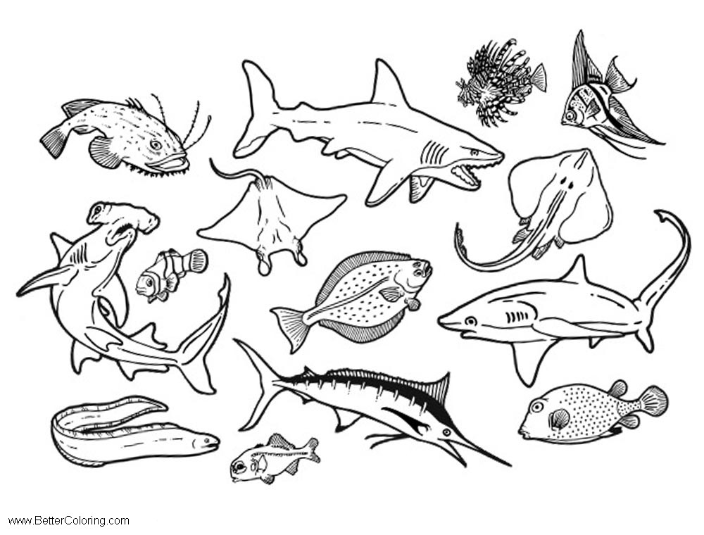 Free Ocean Life Under The Sea Coloring Pages printable