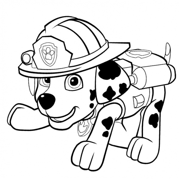 PAW Patrol Coloring Pages Zuma Free Printable Coloring Pages