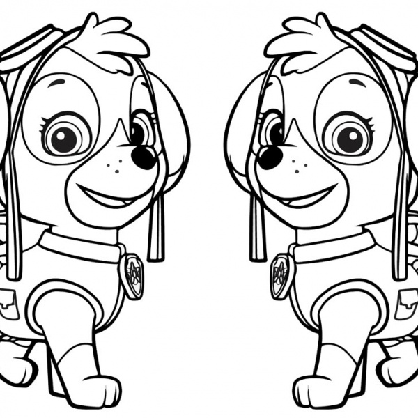 PAW Patrol Coloring Pages Everest - Free Printable Coloring Pages