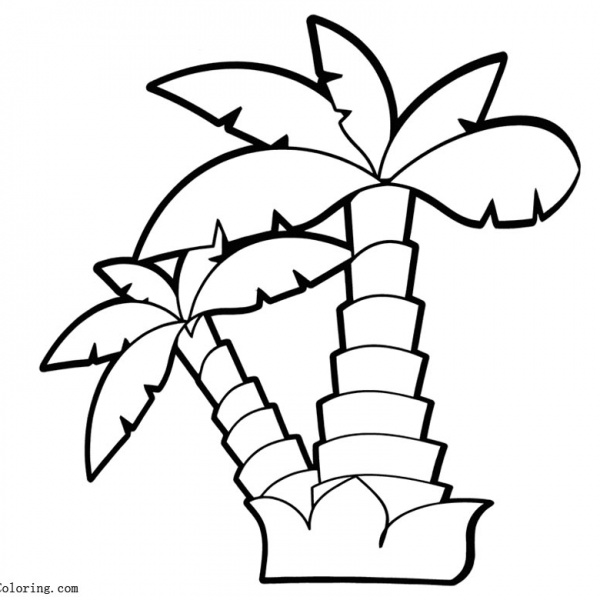 Palm Tree Coloring Pages with Sunset - Free Printable Coloring Pages