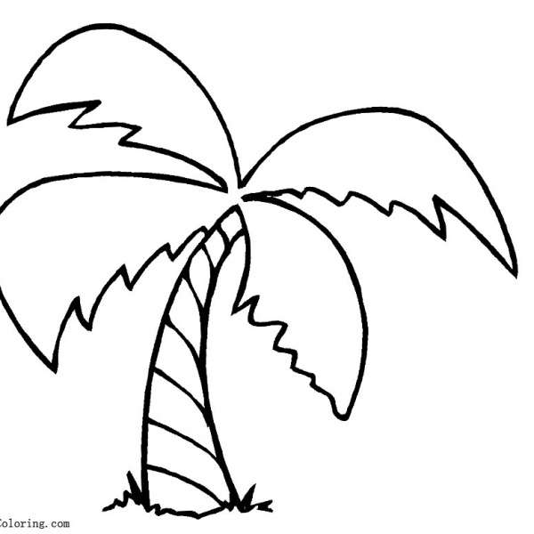 Palm Tree Coloring Pages Summer Beach - Free Printable Coloring Pages