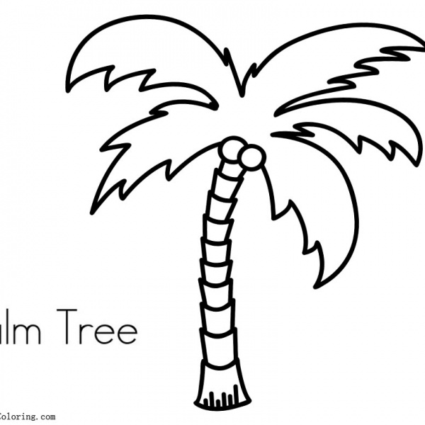 Palm Tree Coloring Pages with Sunset - Free Printable Coloring Pages