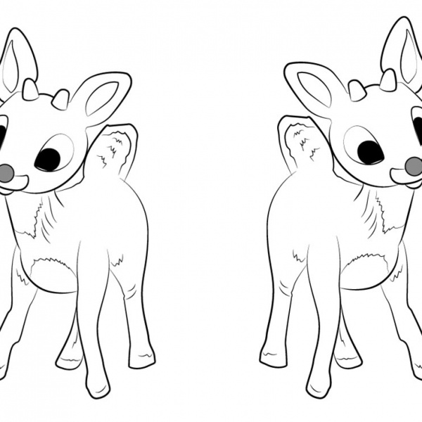 Reindeer Coloring Pages - Free Printable Coloring Pages