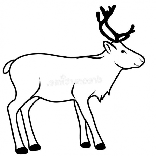 Realistic Reindeer Coloring Pages - Free Printable Coloring Pages