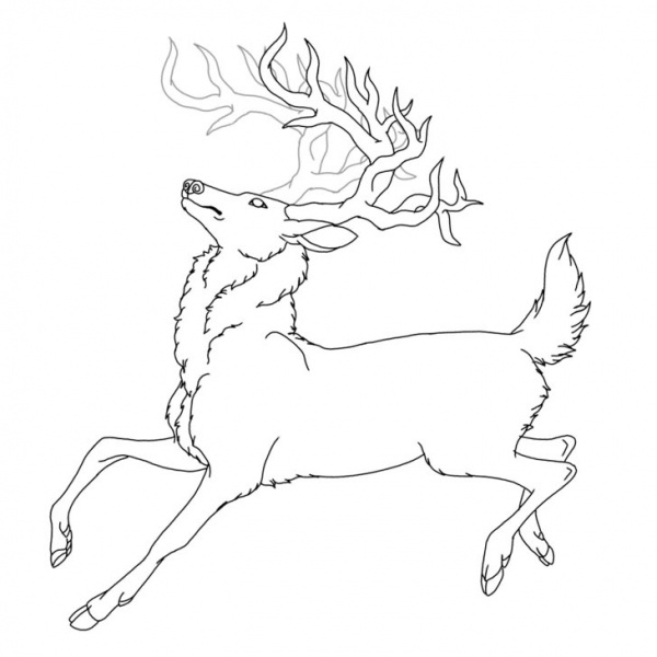 Realistic Reindeer Coloring Pages - Free Printable Coloring Pages
