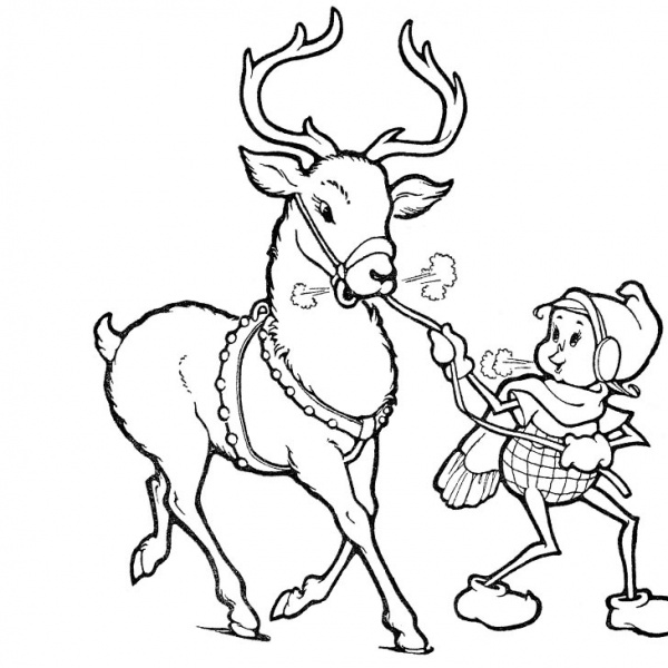Realistic Reindeer Coloring Pages - Free Printable Coloring Pages