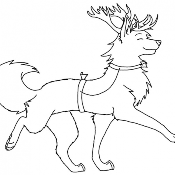 Realistic Reindeer Coloring Pages - Free Printable Coloring Pages
