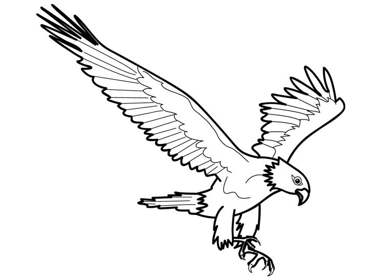Free Rocky Mountain Eagle Coloring Pages printable