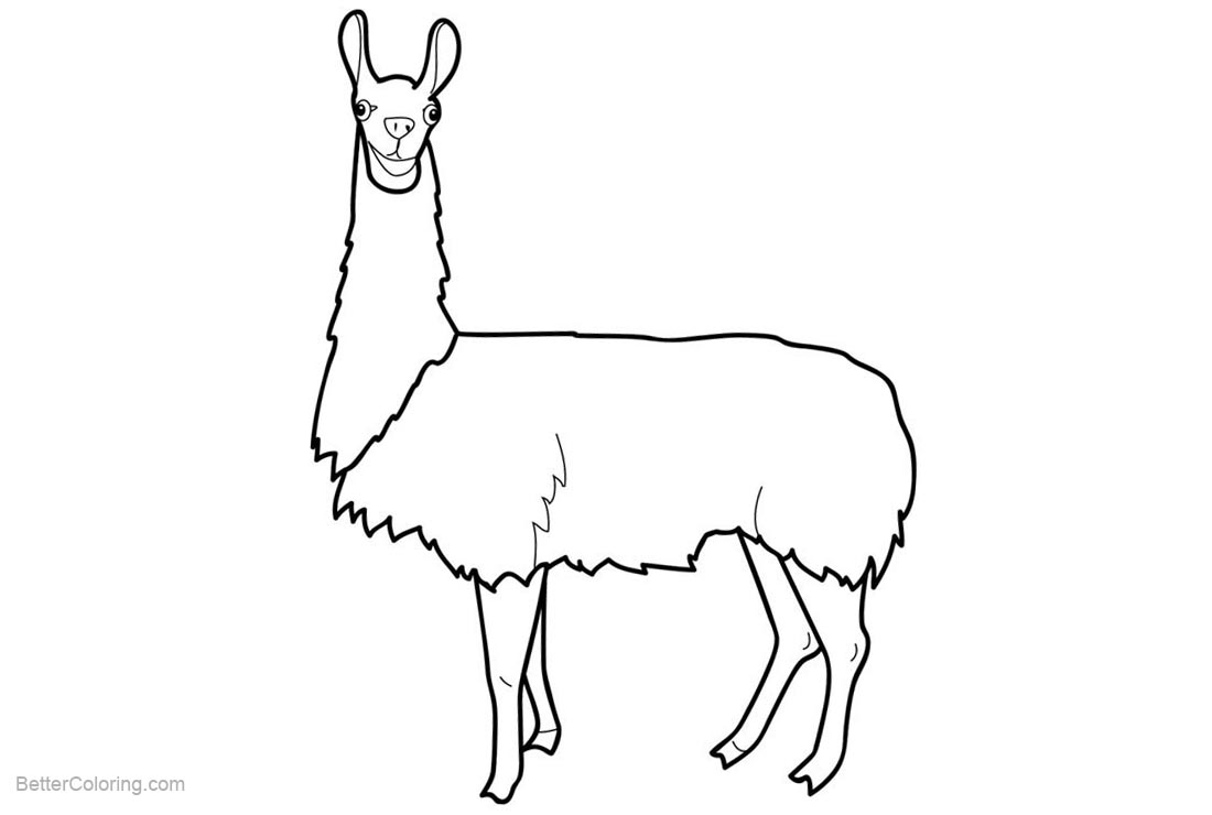 Simple Llama Coloring Pages Clip Art - Free Printable Coloring Pages