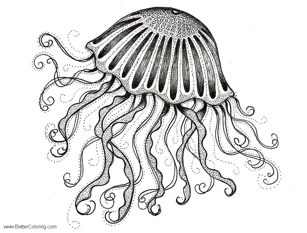 Free Under The Sea Coloring Pages Jelly Fish by Stephanie Troxell printable