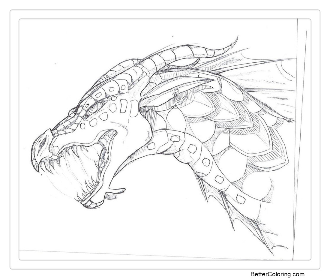 Free Wings of Fire Coloring Pages Seawing Sketch by TheLittleWaterDragon printable