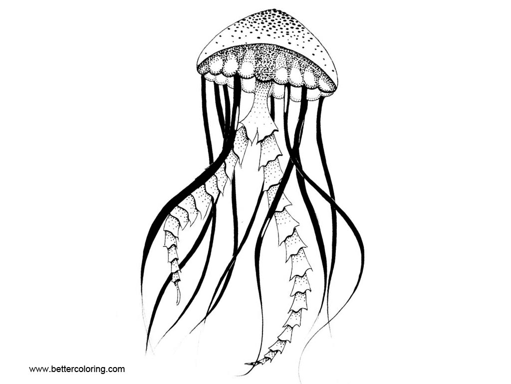 Free Adult Jellyfish Coloring Pages printable