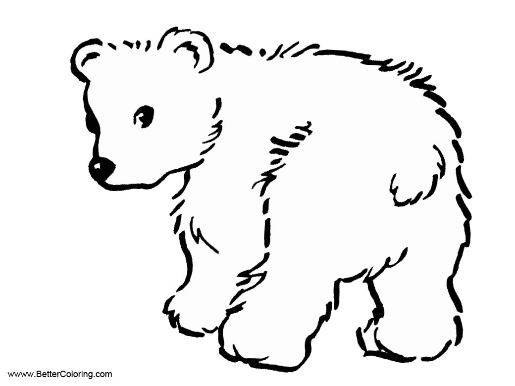 Free Arctic Tundra Animals Coloring Pages Baby Polar Bear printable
