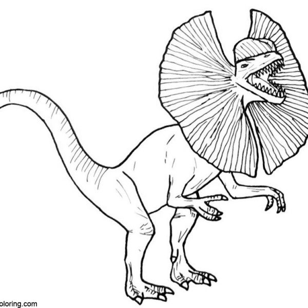 Jurassic World Fallen Kingdom Coloring Pages How to Draw Velociraptor