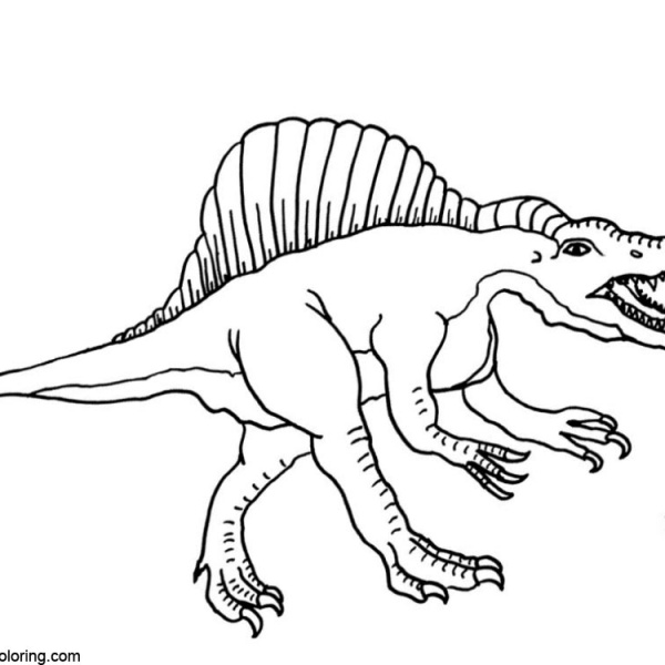 Spinosaurus Coloring Pages Realistic Drawing - Free Printable Coloring