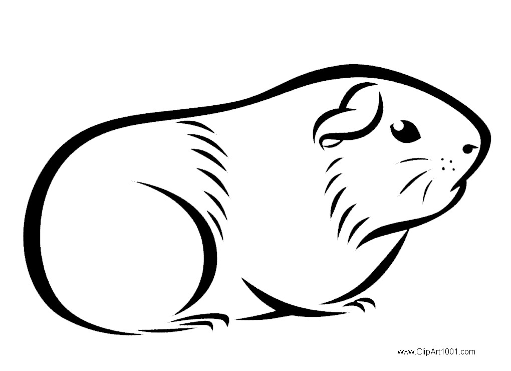 Guinea Pig Coloring Pages Drawings - Free Printable Coloring Pages