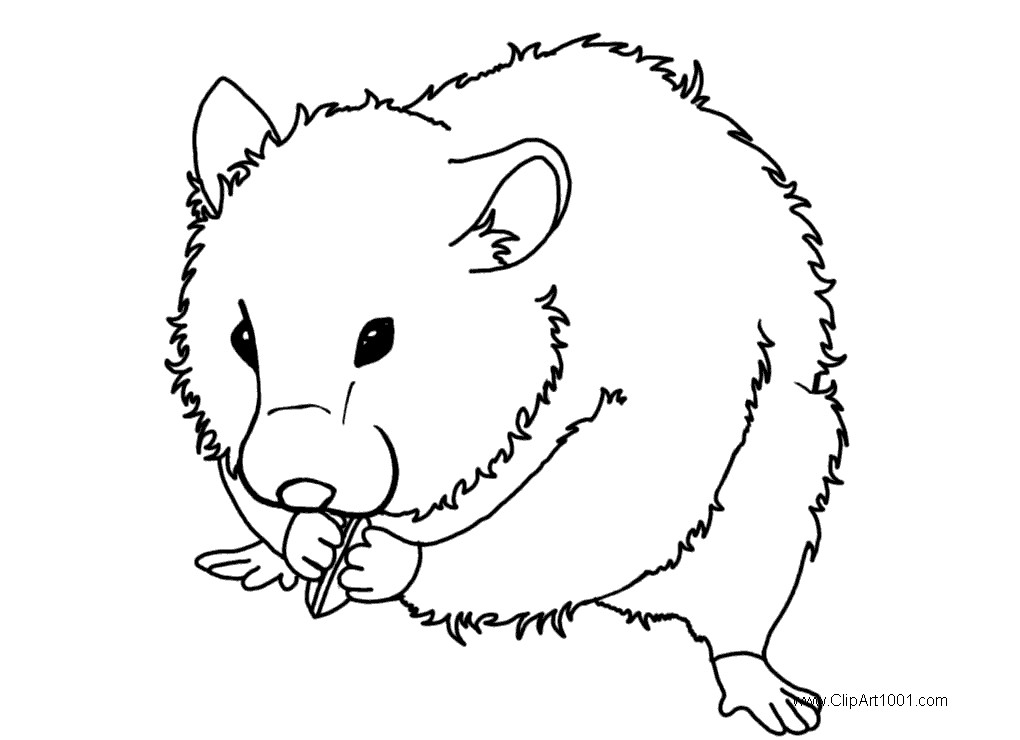 Guinea Pig Coloring Pages Eating Food - Free Printable Coloring Pages