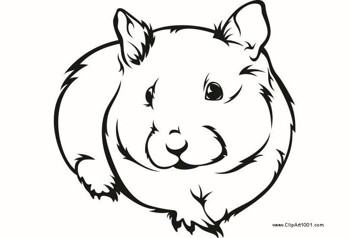 guinea pig coloring pages ink  free printable coloring pages