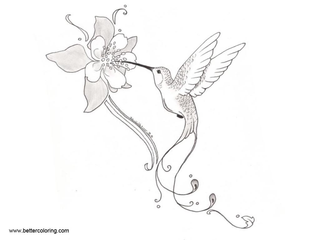 Hummingbird Coloirng Pages with Flowers - Free Printable Coloring Pages