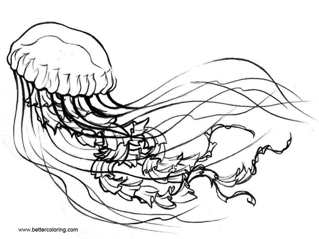 Jellyfish Coloring Book - Free Printable Coloring Pages