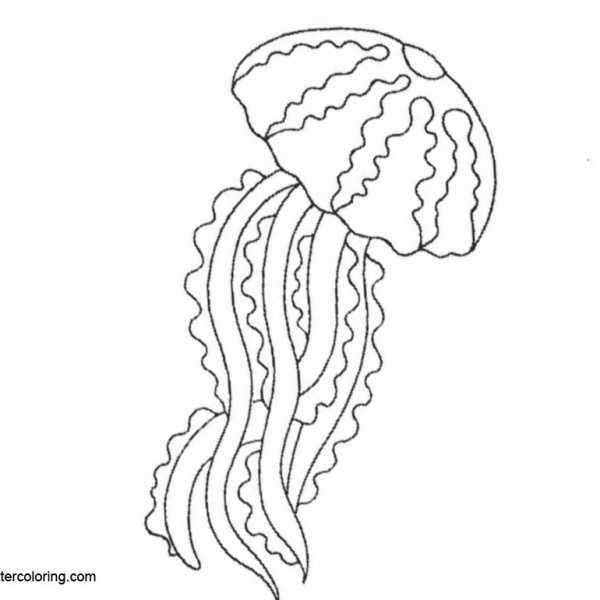 Simple Jellyfish Coloring Pages Free Printable Coloring Pages