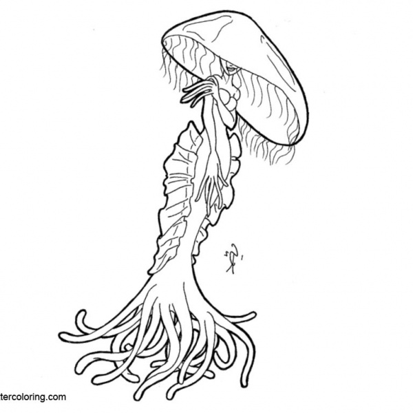 Adult Jellyfish Coloring Pages Free Printable Coloring Pages