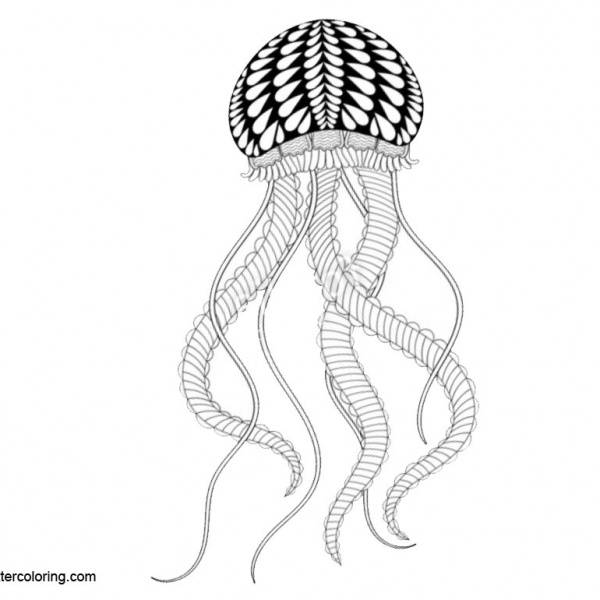 Moon Jellyfish Coloring Pages - Free Printable Coloring Pages