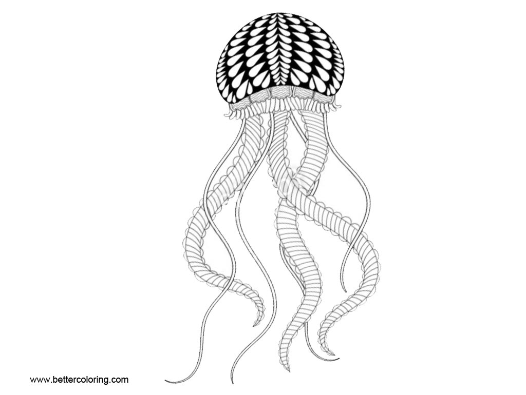 Free Jellyfish Coloring Pages Line Art printable