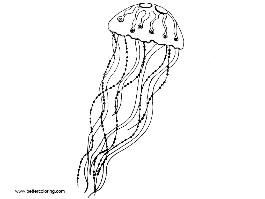 Free Jellyfish Coloring Pages Pictures printable