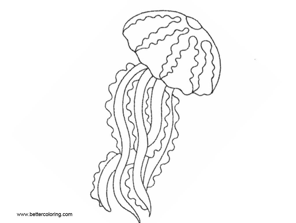Jellyfish Coloring Pages Free Printable Coloring Pages