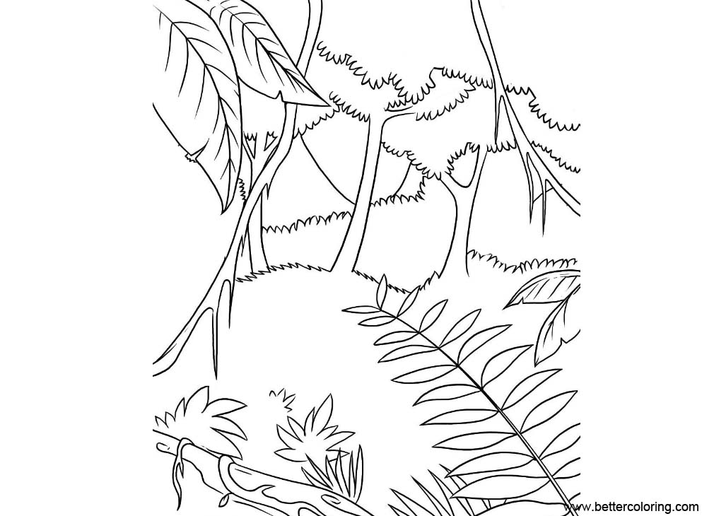 Free Jungle Coloring Pages Clip Art printable