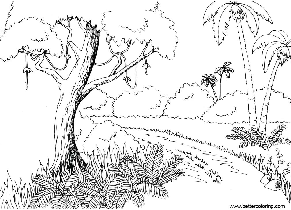 Free Jungle Coloring Pages Line Drawing printable