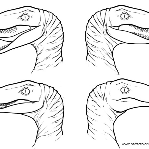 gallimimus coloring page